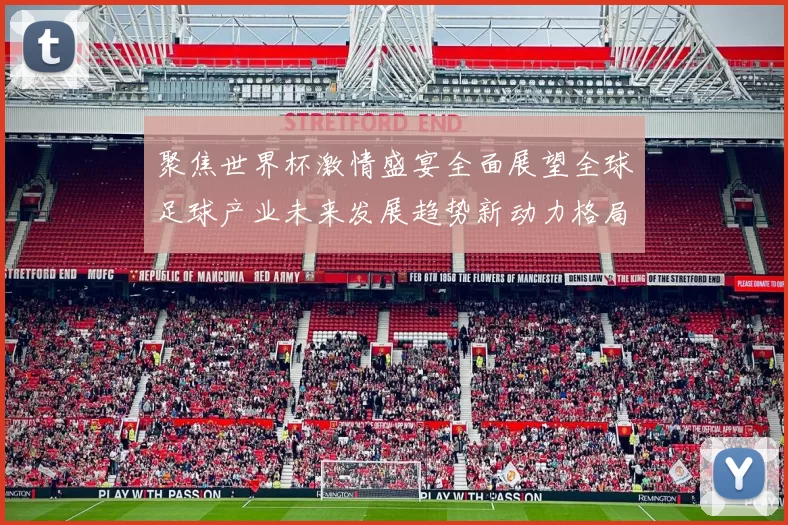 聚焦世界杯激情盛宴全面展望全球足球产业未来发展趋势新动力格局