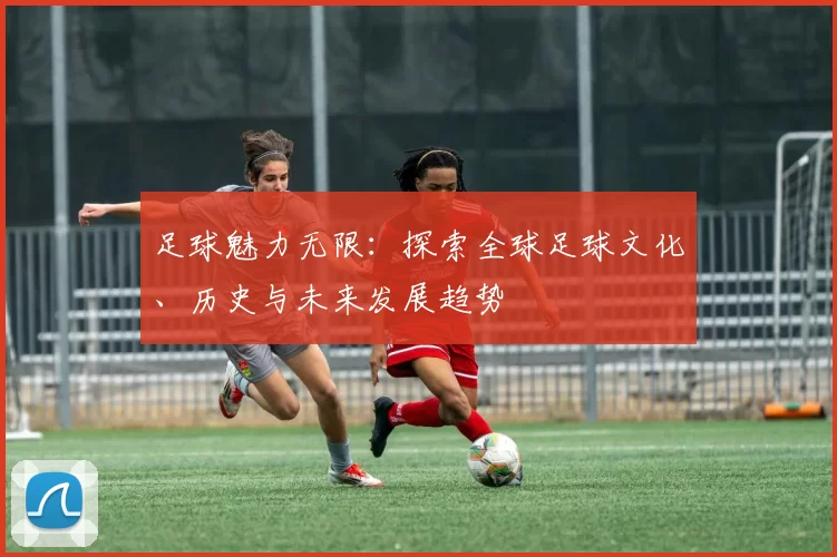 足球魅力无限：探索全球足球文化、历史与未来发展趋势