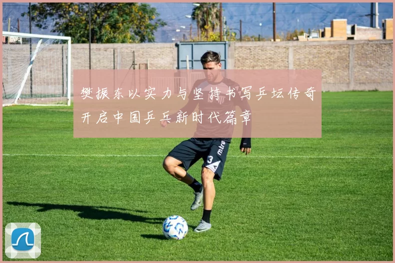 樊振东以实力与坚持书写乒坛传奇开启中国乒乓新时代篇章